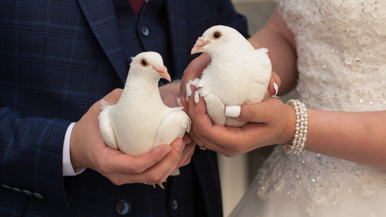 9. Philippines: Releasing white doves